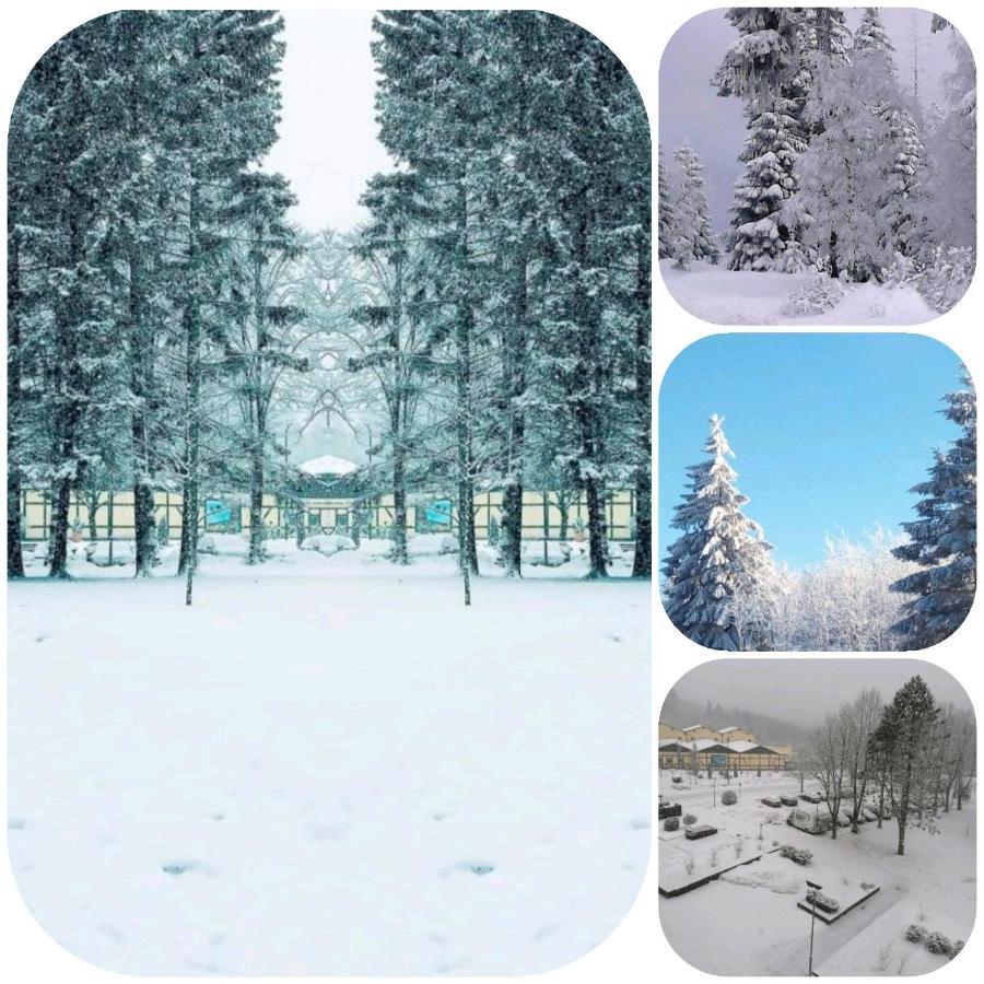 Crisand 3 Panoramic Альтенау Экстерьер фото