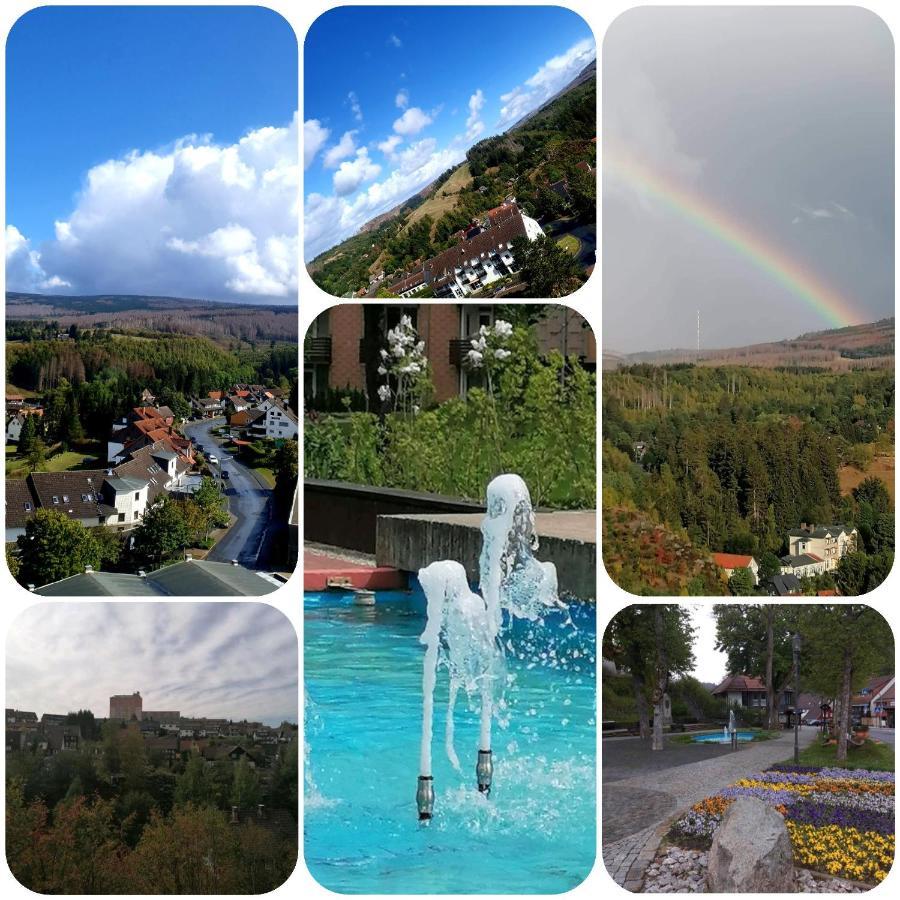Crisand 3 Panoramic Альтенау Экстерьер фото
